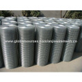 Hot Dipped Galvanized Welded Wire Mesh (CE&SGS)